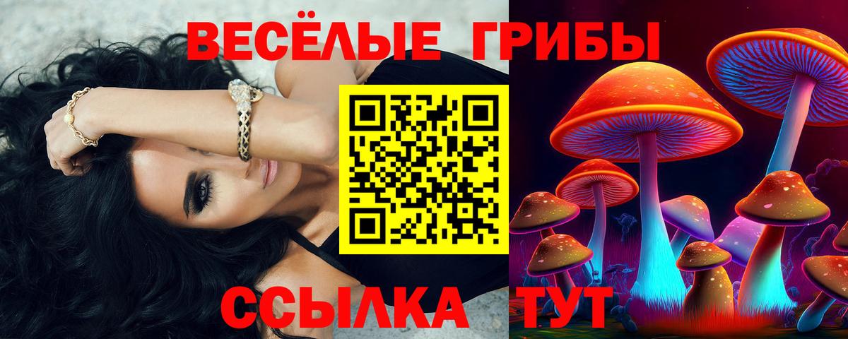 Псилоцибиновые грибы Cubensis  Вход с VPN  Сатка  Галлюциногенные грибы ЛСД 